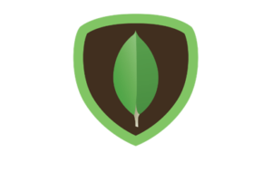 Mongodb